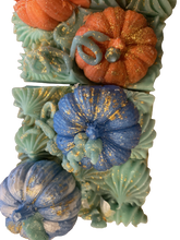 Load image into Gallery viewer, Pumpkin Patch